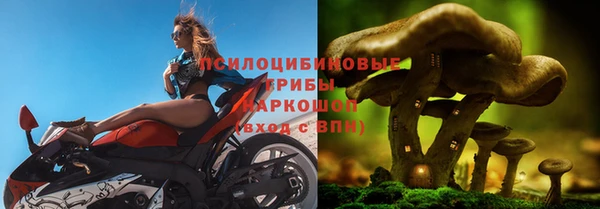 Альфа ПВП Новодвинск