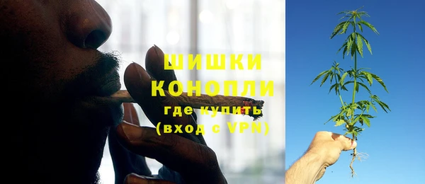 Альфа ПВП Новодвинск