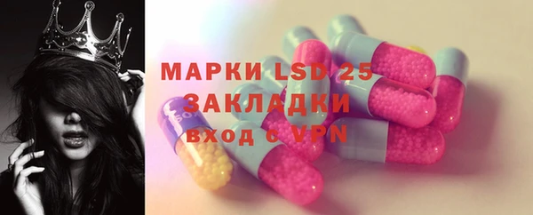 Альфа ПВП Новодвинск