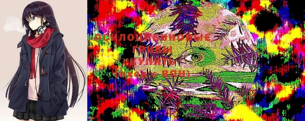 Альфа ПВП Новодвинск