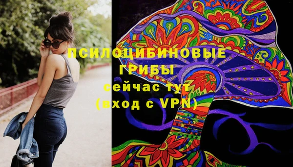 Альфа ПВП Новодвинск