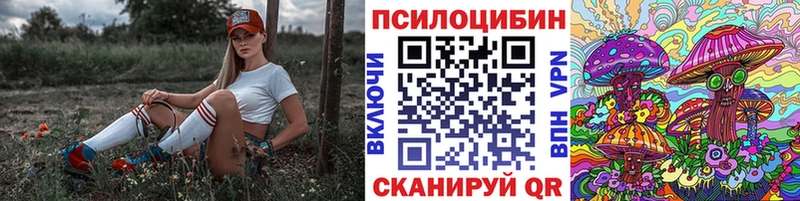 где найти наркотики ссылка на мегу ссылка Галлюциногенные грибы мицелий Южа